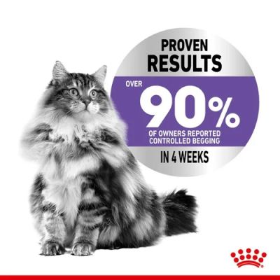 Royal Canin Cat Wet Apetite Control Jelly 85g 12pk