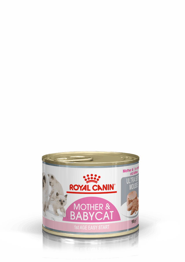 Royal Canin Cat Wet Babycat