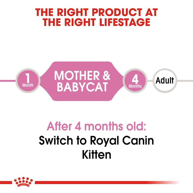 Royal Canin Cat Wet Babycat