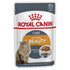 Royal Canin Cat Wet Beauty Gravy