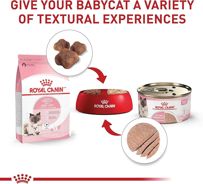 Royal Canin Cat Wet Mother And Babycat Mousse