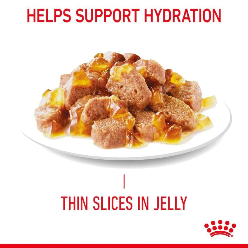 Royal Canin Cat Wet Urinary Care Jelly 85g