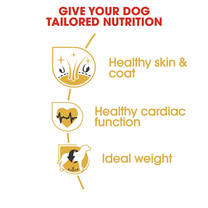 Royal Canin Dog Dry Golden Retriever 12kg
