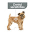 Royal Canin Dog Dry Mini Dental Care 3kg