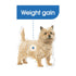Royal Canin Dog Dry Mini Light 3kg