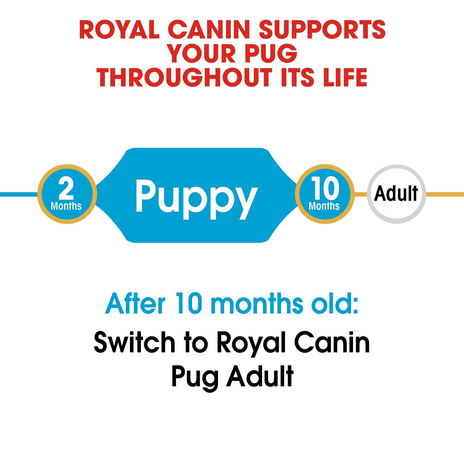 Royal Canin Dog Dry Pug Puppy 1.5kg