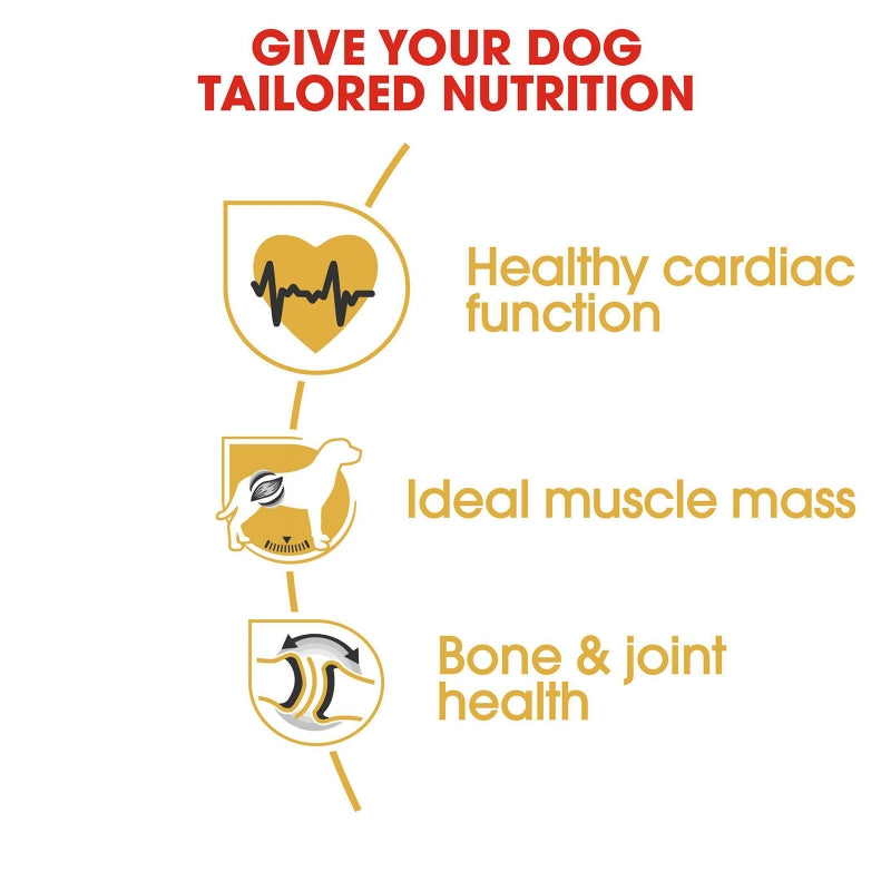 Royal Canin Dog Dry Rottweiler 12kg