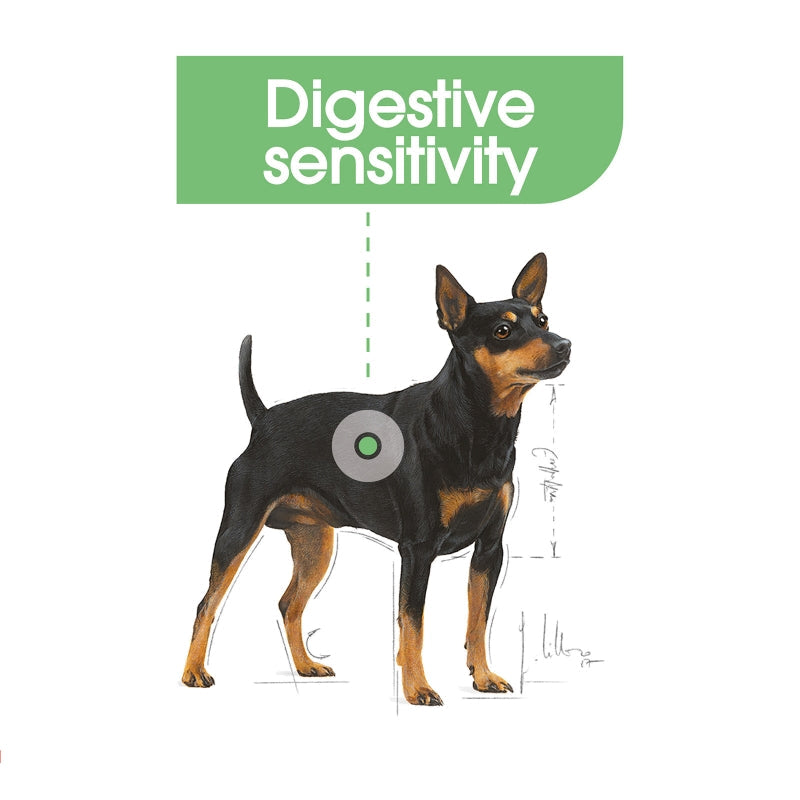 Royal Canin Dog Wet Digestive Care Loaf