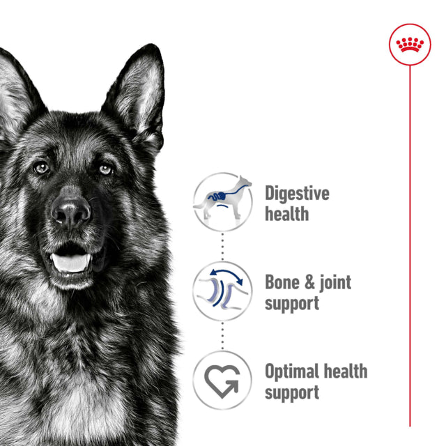 Royal Canin Dog Wet Maxi Adult Loaf