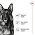 Royal Canin Dog Wet Maxi Adult Loaf