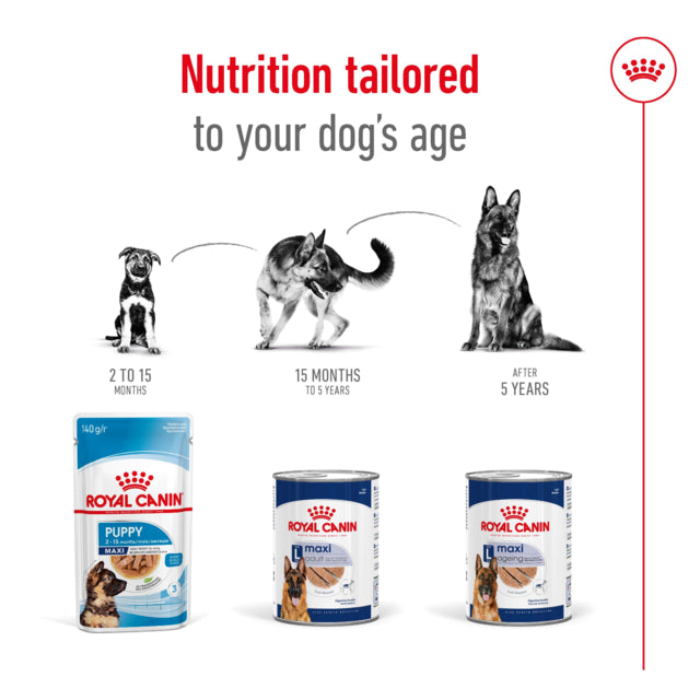 Royal Canin Dog Wet Maxi Adult Loaf