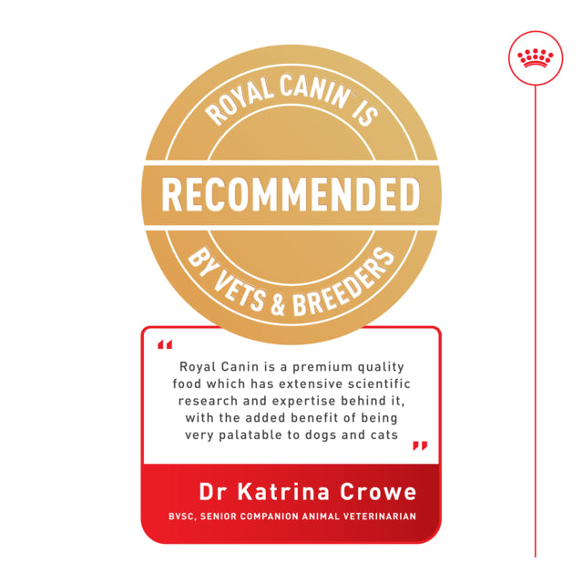 Royal Canin Dog Wet Medium Adult Loaf