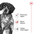 Royal Canin Dog Wet Medium Aeging Loaf