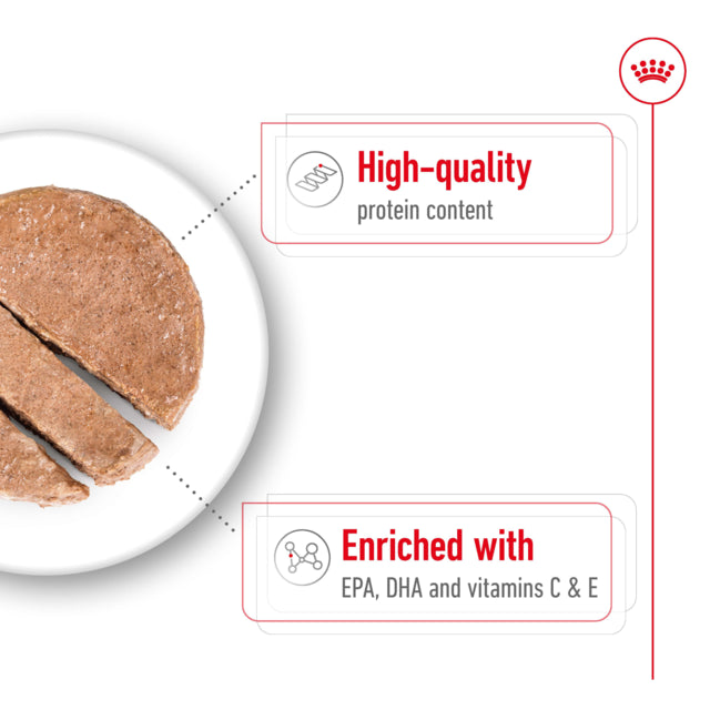 Royal Canin Dog Wet Medium Aeging Loaf