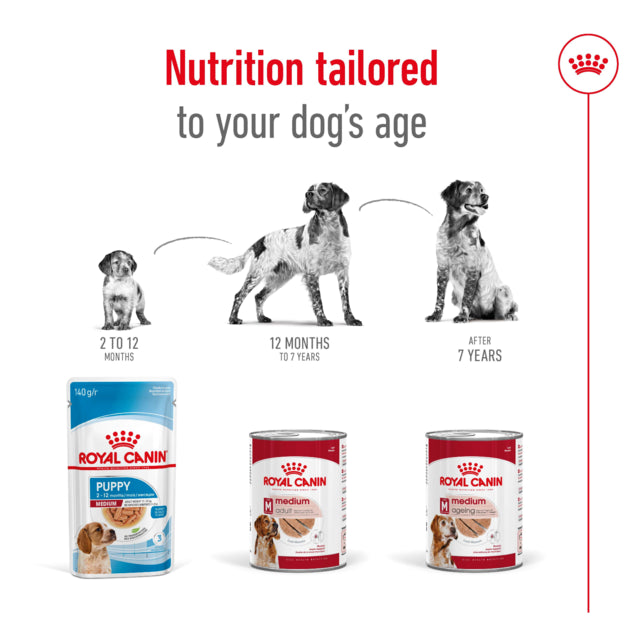 Royal Canin Dog Wet Medium Aeging Loaf