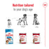 Royal Canin Dog Wet Medium Aeging Loaf