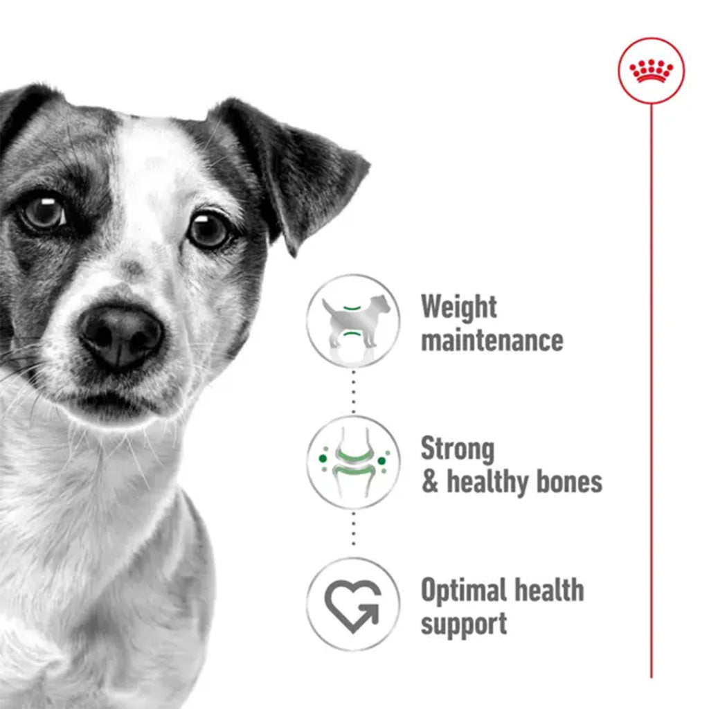 Royal Canin Dog Wet Mini Adult Loaf
