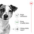 Royal Canin Dog Wet Mini Aeging Loaf