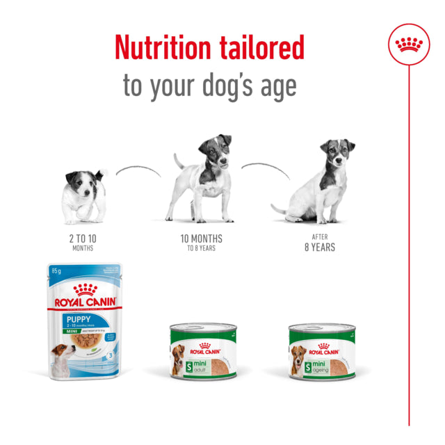 Royal Canin Dog Wet Mini Aeging Loaf