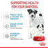Royal Canin Mother and Babydog Mousse