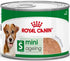 Royal Canin Dog Wet Mini Aeging Loaf