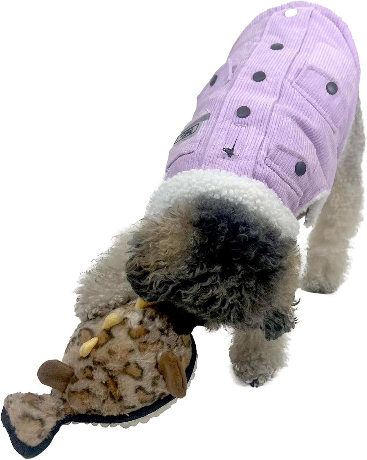Ruff Play Dog Toy Plush Tuff Blowfish