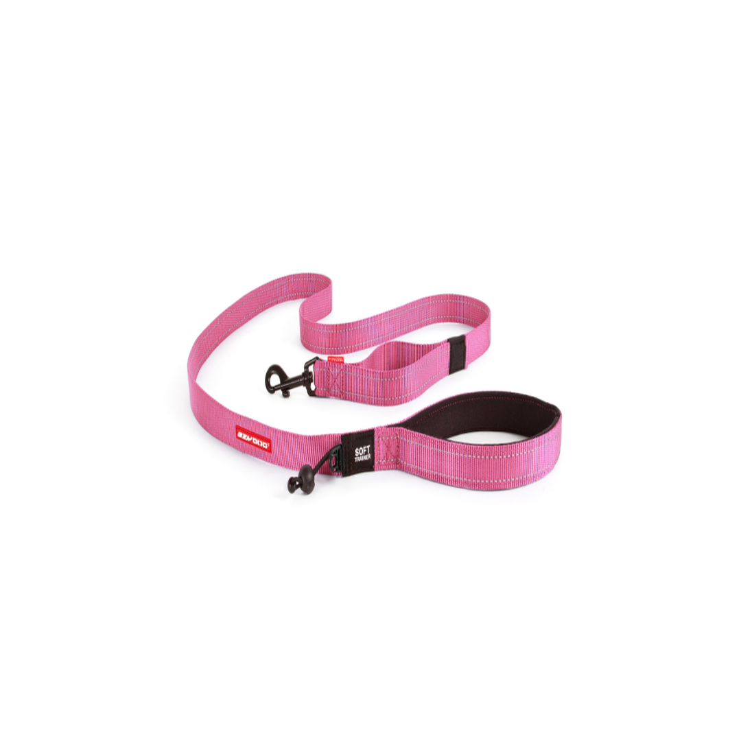EzyDog Lead Trainer 25