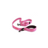 EzyDog Lead Trainer 25