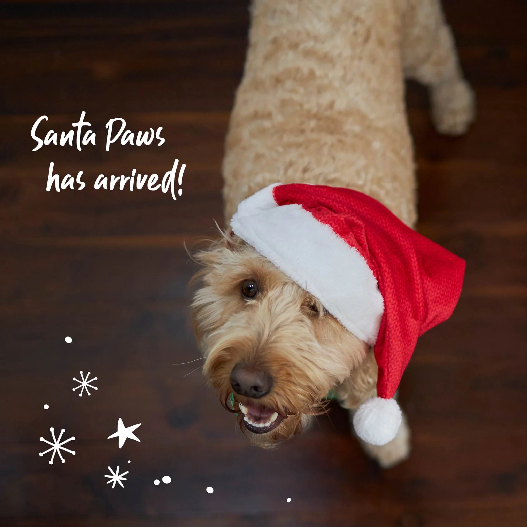 Santa Paws Hat Large