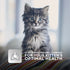 Science Diet Cat Wet Kitten Ocean Fish Pouch
