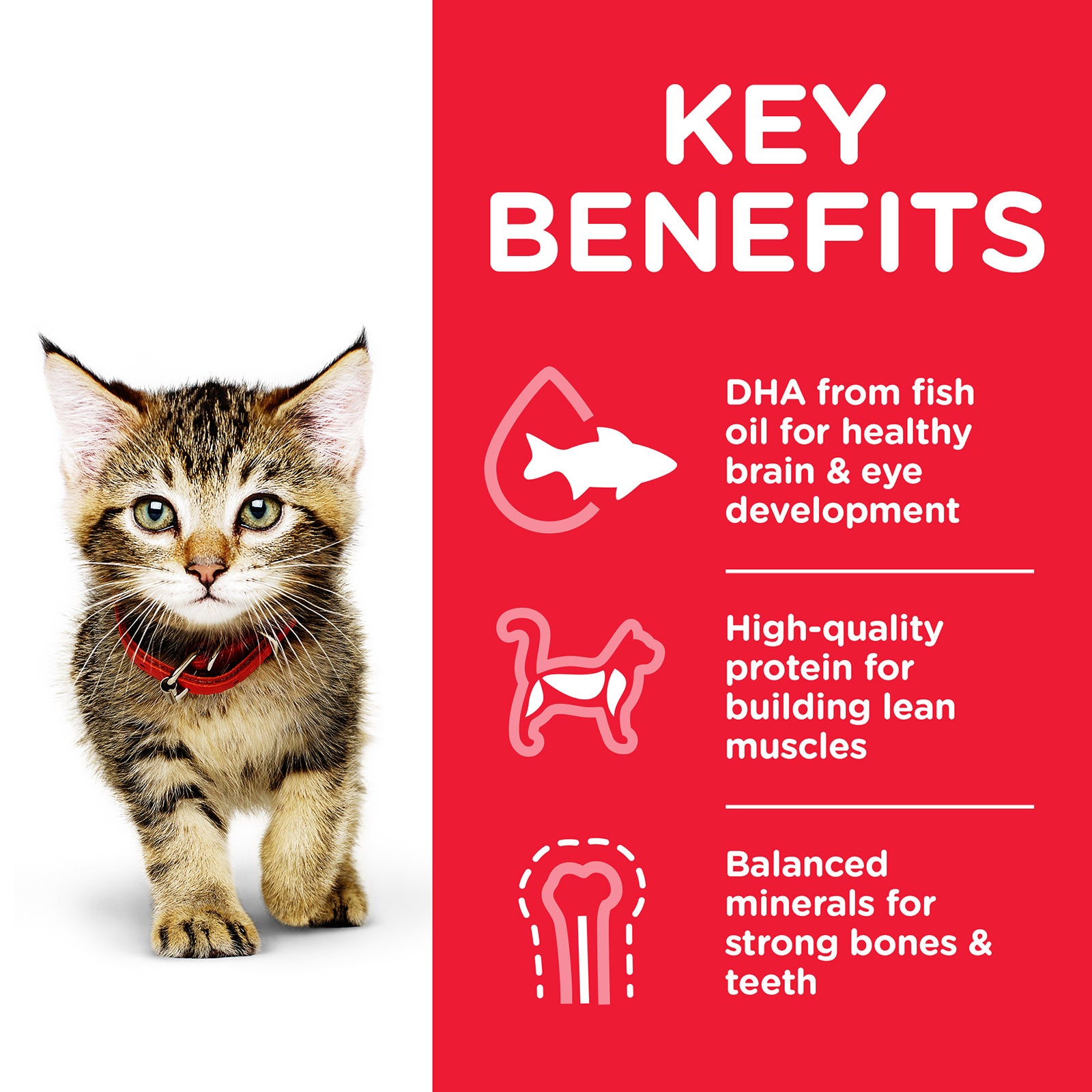 Science Diet Cat Wet Kitten Ocean Fish Pouch