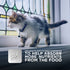 Science Diet Cat Wet Kitten Ocean Fish Pouch
