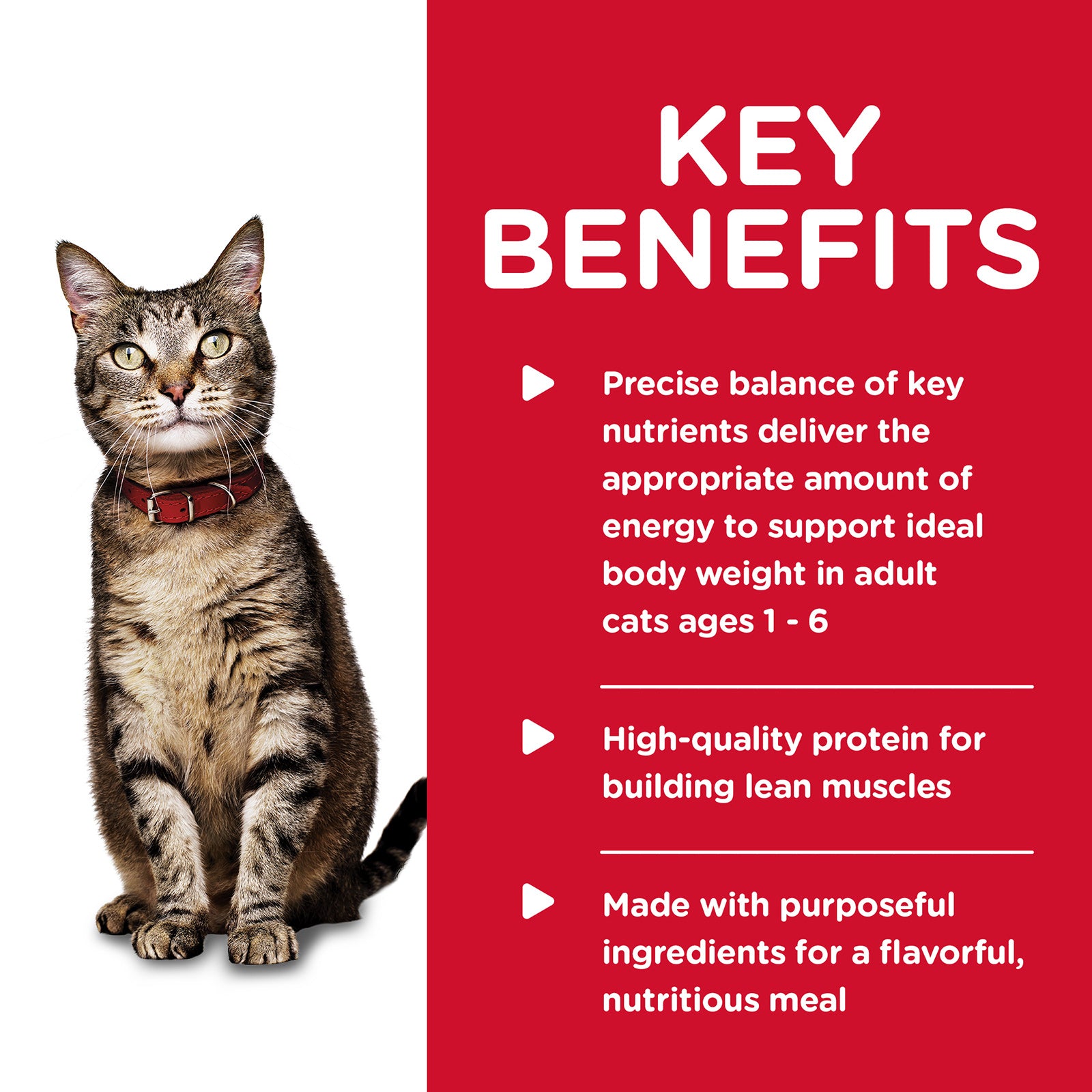 Science Diet Cat Wet Tuna