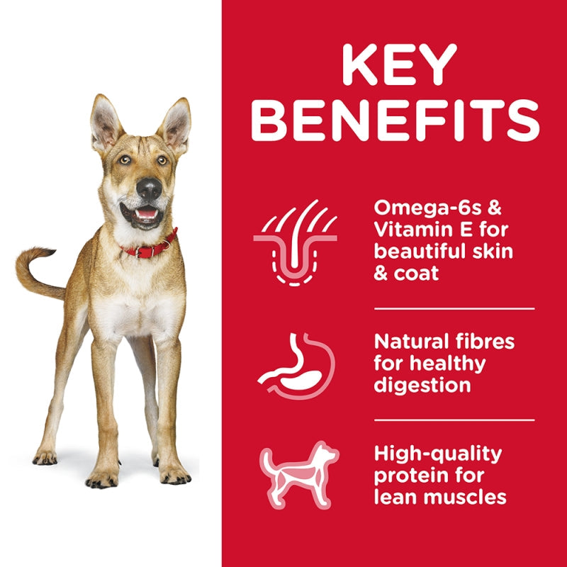 Science Diet Dog Dry Adult 3kg