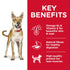 Science Diet Dog Dry Adult 3kg
