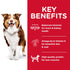 Science Diet Dog Dry Mature 7+ 12kg