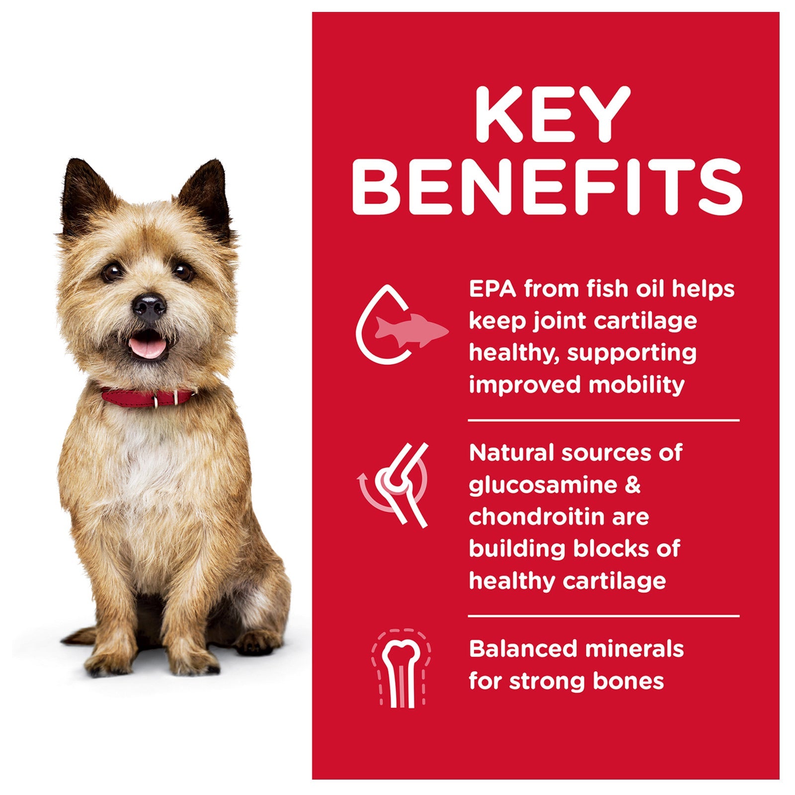 Science Diet Dog Dry Mobility Small Breed 1.8kg