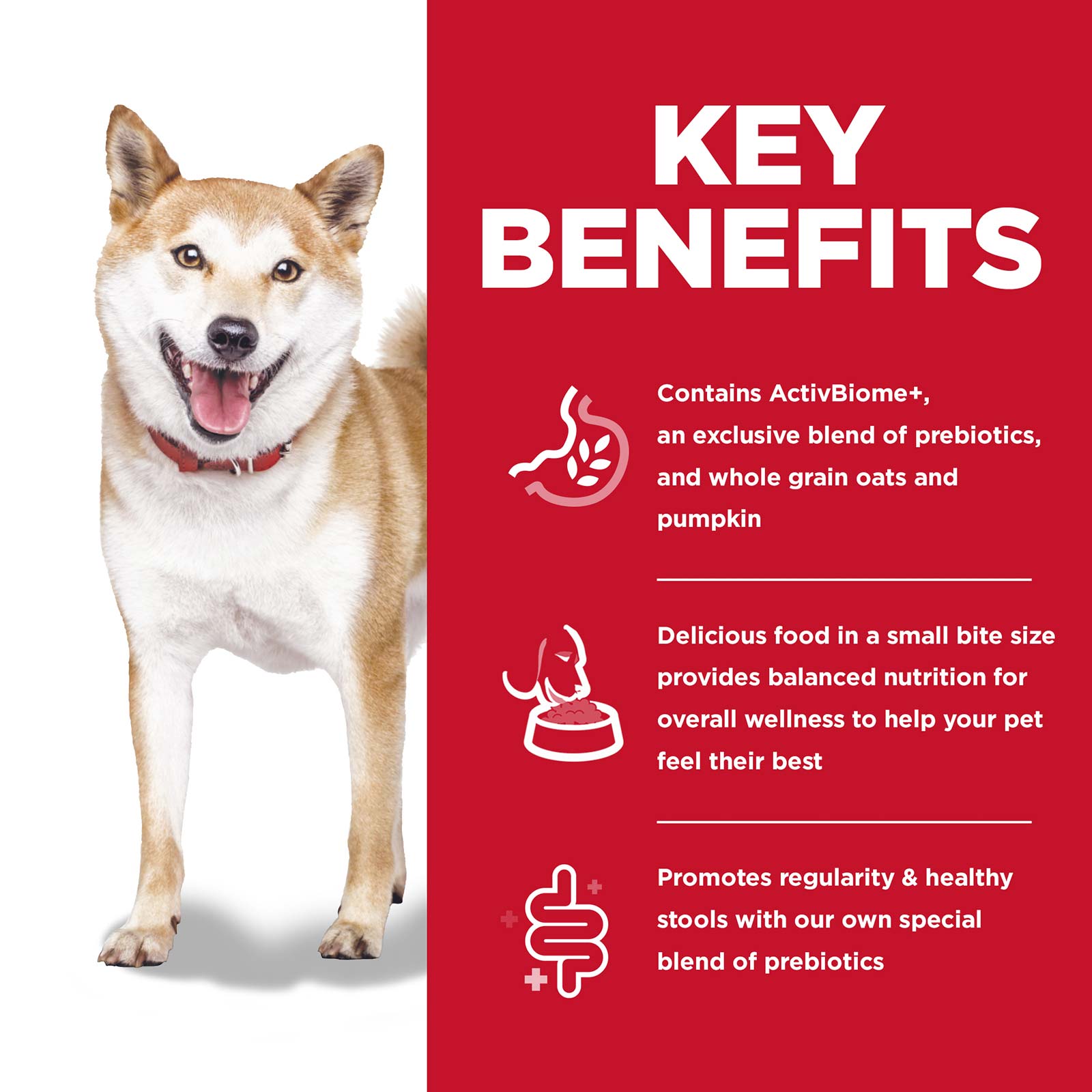 Science Diet Dog Dry Perfect Digestion Small 1.59kg