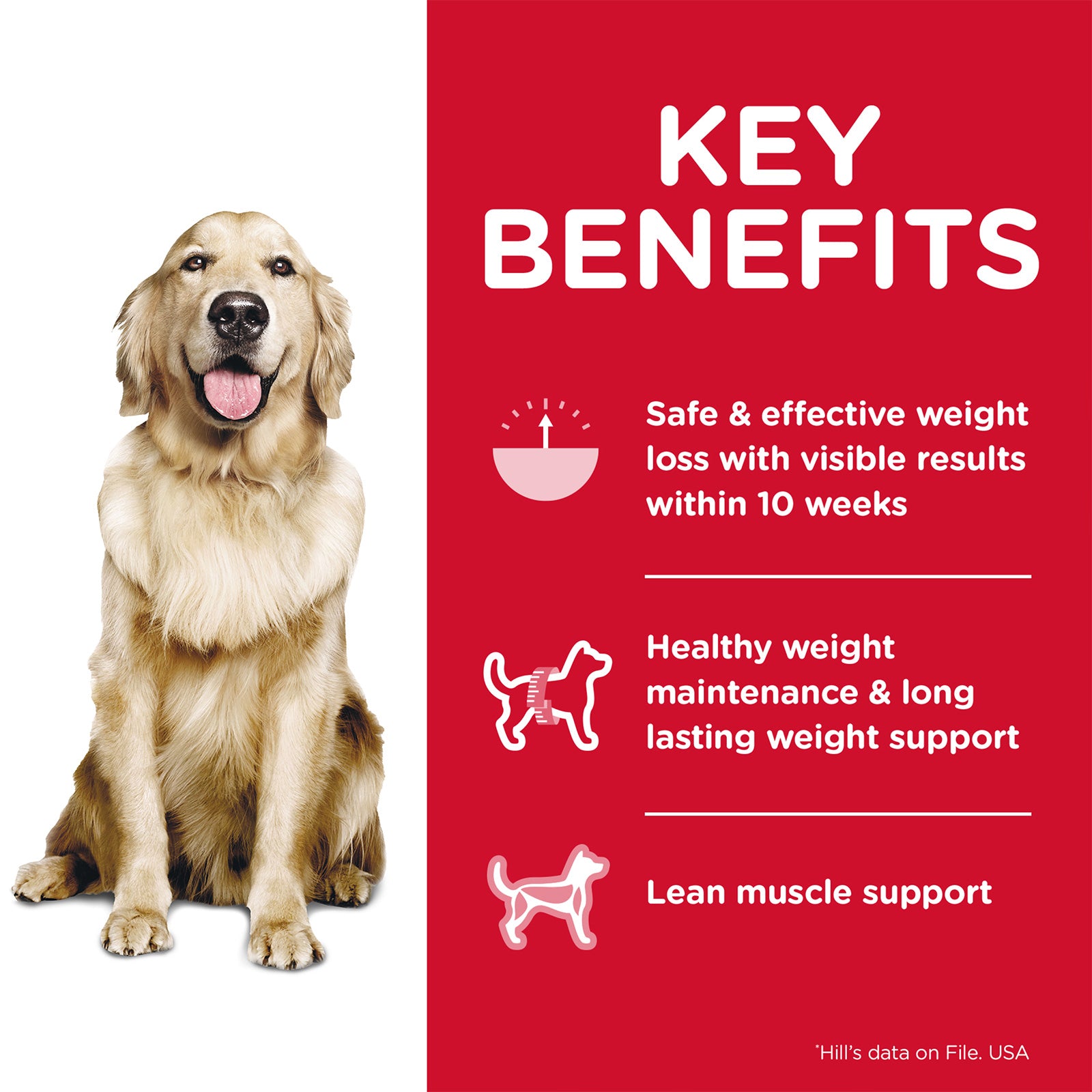Science Diet Dog Dry Perfect Weight 5.44KG