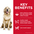 Science Diet Dog Dry Perfect Weight 5.44KG