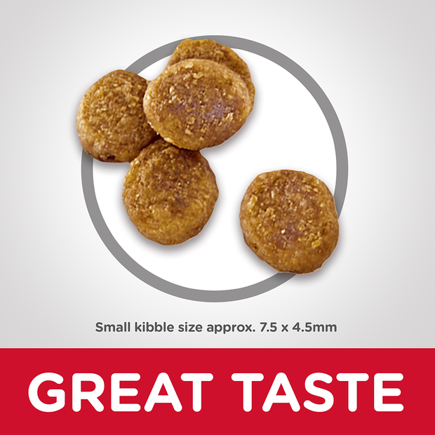 Science Diet Dog Dry Perfect Weight Small Breed