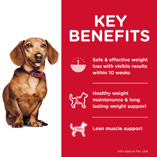 Science Diet Dog Dry Perfect Weight Small Breed