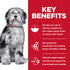 Science Diet Dog Dry Perfect Weight and Joint Support 11.3KG