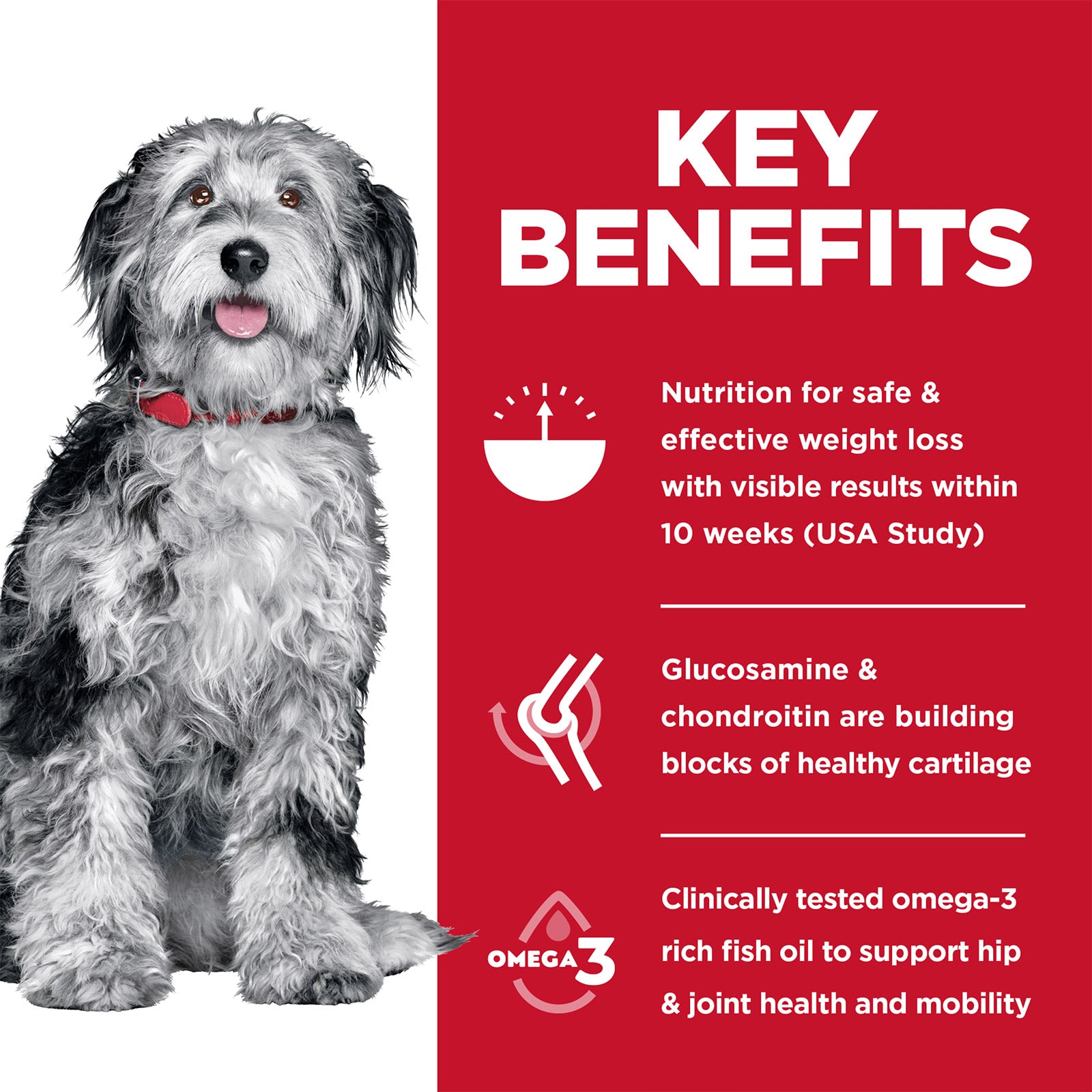 Science Diet Dog Dry Adult Perfect Weight and Joint Support 1.58KG