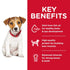 Science Diet Dog Dry Puppy Small Bites 2kg