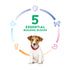 Science Diet Dog Dry Puppy Small Bites 5.67KG