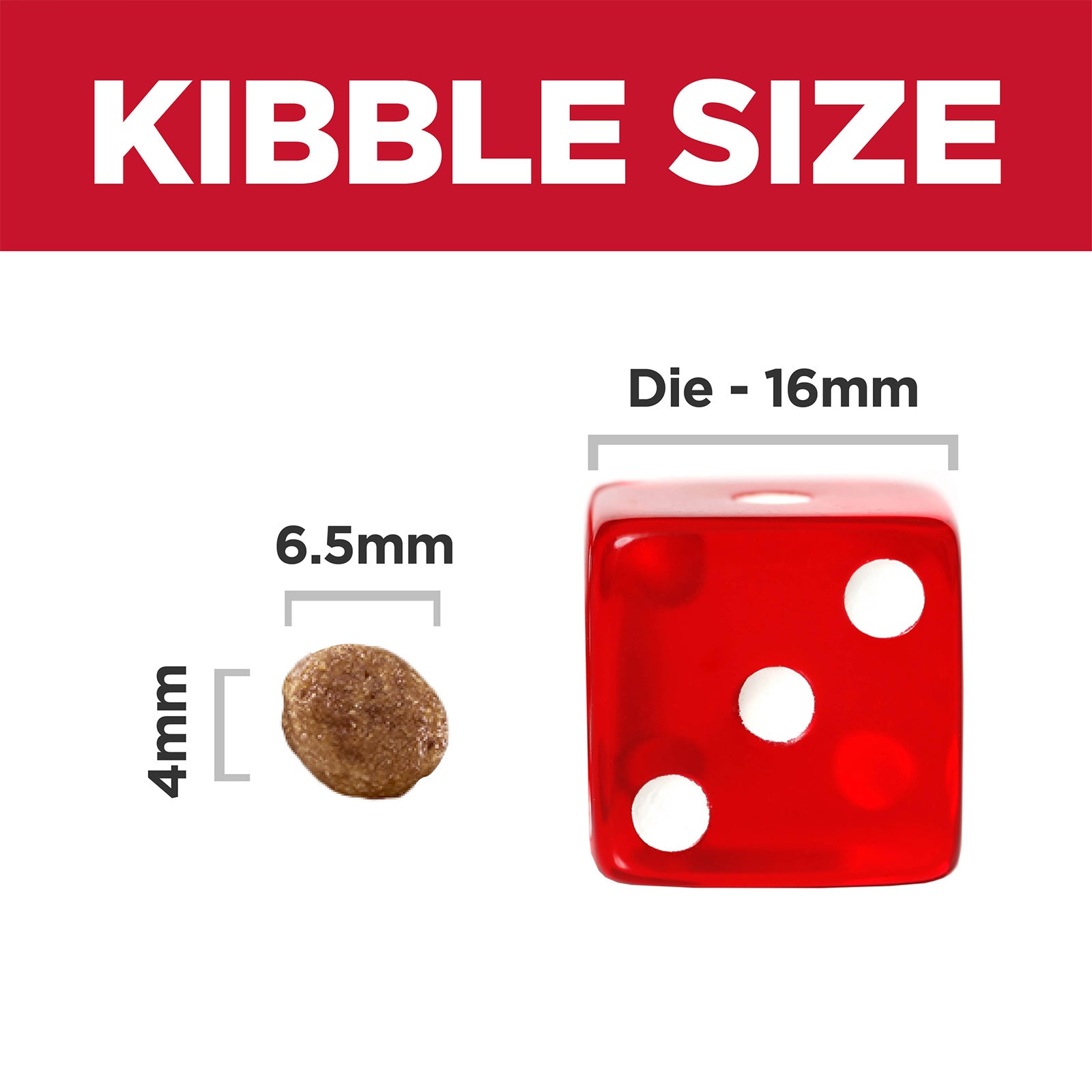Science Diet Dog Dry Puppy Small Bites 5.67KG