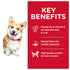 Science Diet Dog Dry Small Bites 2kg