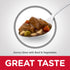Science Diet Dog Wet Beef Stew