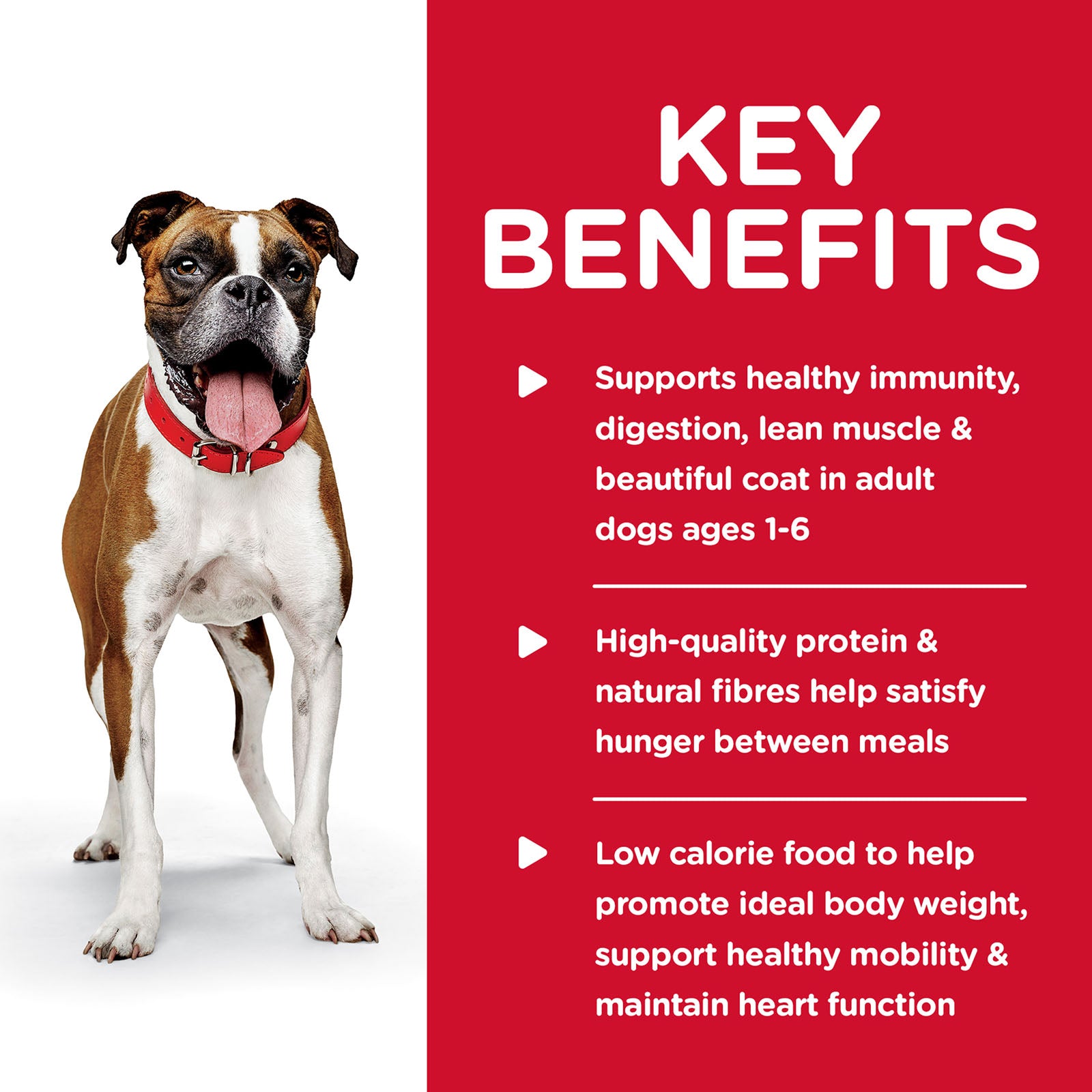 Science Diet Dog Wet Light 370g